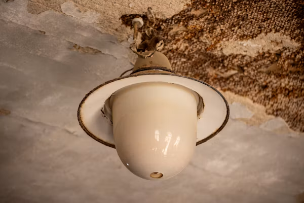 Warning signs of roof damage and interior water leaks.