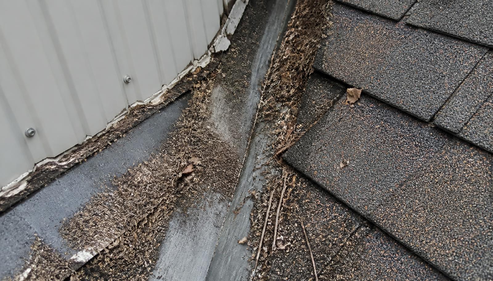 Dust and debris collected in a roof valley beside worn shingles and wall flashing